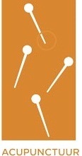Acupunctuur Button