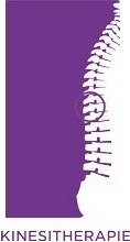Kinesitherapie Button